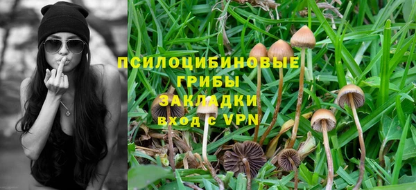 ешки Алексеевка