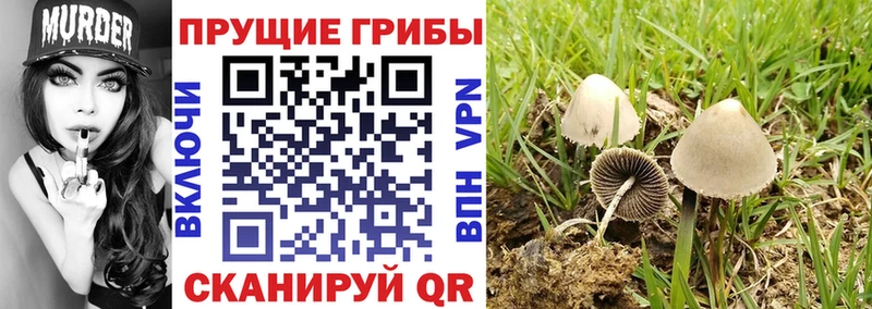 цены наркотик  Таштагол  Галлюциногенные грибы мухоморы 